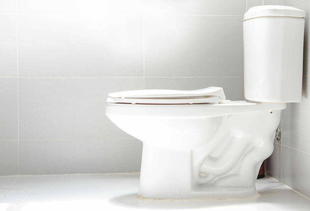 Clogged Toilet Repair in San Antonio, TX, by Will Fix It